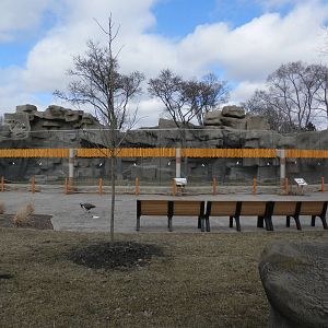 Whole Lion renovation