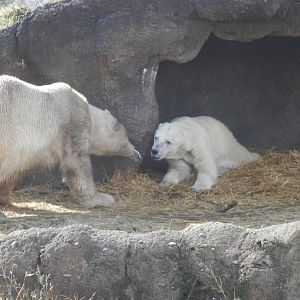 Talina telling Nuka "You can't come in!"