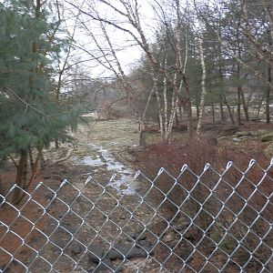 Back of Grizzly Ridge (next to Children's Farm)