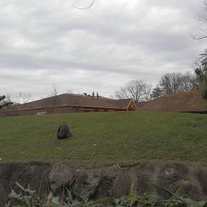 New vet building under construction