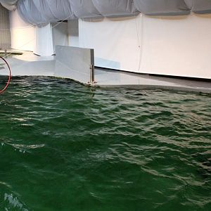 ZOO Antwerpen - Aquaforum