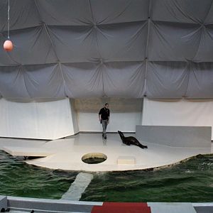 ZOO Antwerpen - Aquaforum