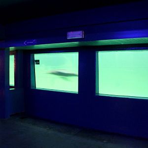 ZOO Antwerpen - Aquaforum