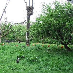 Inside walk-through aviary