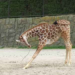 Taking exercises in order to eating