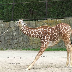 Taking exercises in order to eating