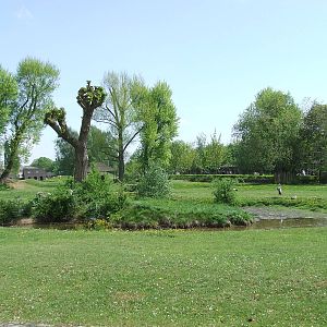 Another big african enclosure