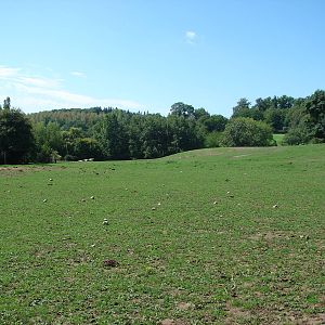 North american exhibit