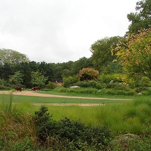 African savanna exhibit