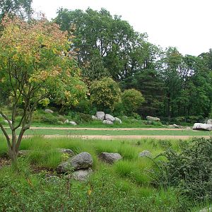 African savanna exhibit