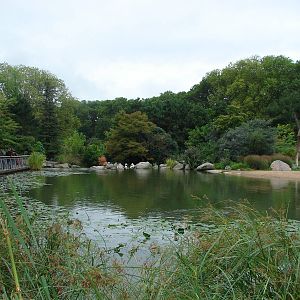 African savanna exhibit