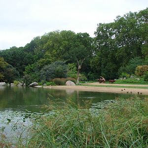 African savanna exhibit