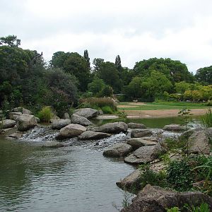 African savanna exhibit