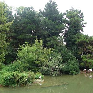Ring-tailed and ruffed lemur (red and black and white) exhibit