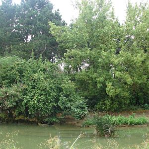 Ring-tailed and ruffed lemur (red and black and white) exhibit