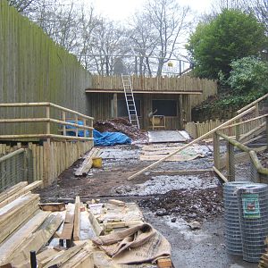 Work on the Tiger enclosure