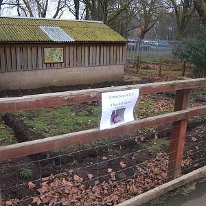 View of the start of work for a new red Squirrel enclosure