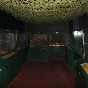 View inside of the Small Mammal House
