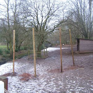 Start of work on new Lemur enclosure