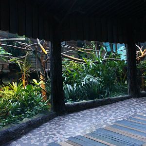 Fishing Cat Trail - Common Palm Civet exhibit