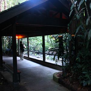 Fishing Cat Trail - Marshbirds Aviary