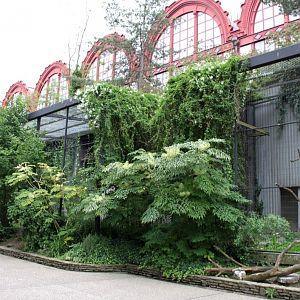 ZOO Antwerpen - Birds of Prey Aviaries