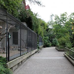 ZOO Antwerpen - Birds of Prey Aviaries