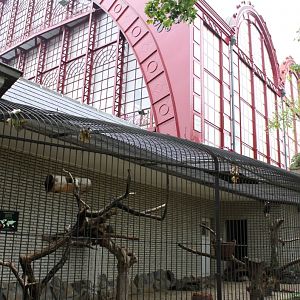 ZOO Antwerpen - Birds of Prey Aviaries and Station