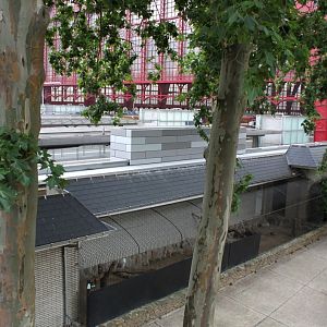 ZOO Antwerpen - Birds of Prey Aviaries and Station