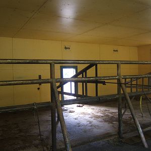 View inside Elephant House