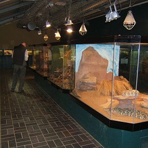 View of Vivarium