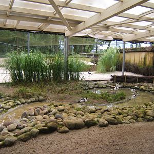 View of Wader Aviary