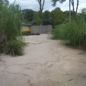 View of Wader Aviary