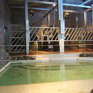 View Inside of Elephant House