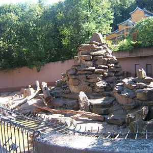Hamadryas Baboon enclosure