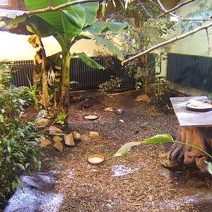 View inside Tropical House