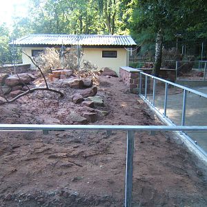 Meerkat enclosure