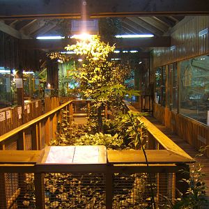 View inside Tropical House