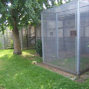 View of Parrot Aviarys