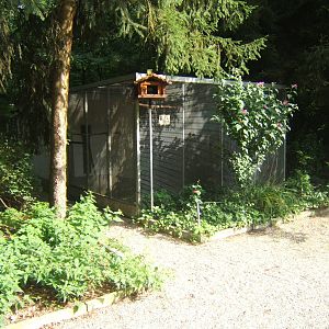 View of Parrot Aviary