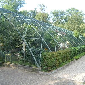 View of large mixed Aviary