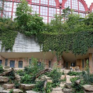 ZOO Antwerpen - Tiger and Central Station