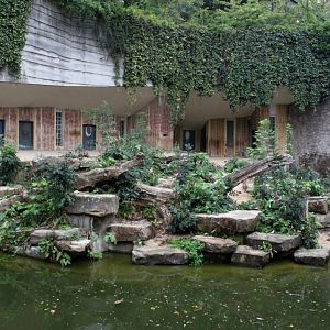 ZOO Antwerpen - Carnivore exhibit (Tiger)