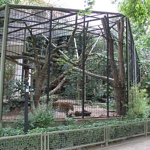 ZOO Antwerpen - Carnivore exhibits (Leopard and Jaguar)