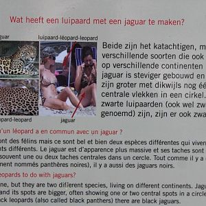 ZOO Antwerpen - Carnivore signage