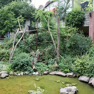 ZOO Antwerpen - Spectacled bear exhibit