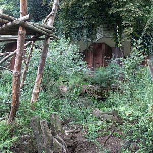 ZOO Antwerpen - Spectacled bear exhibit