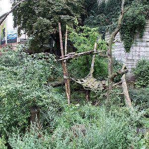 ZOO Antwerpen - Spectacled bear exhibit