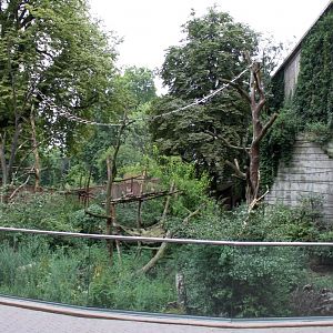 ZOO Antwerpen - Spectacled bear exhibit