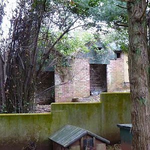 Old Building Revealed (#1 of 3) 7 March 2012